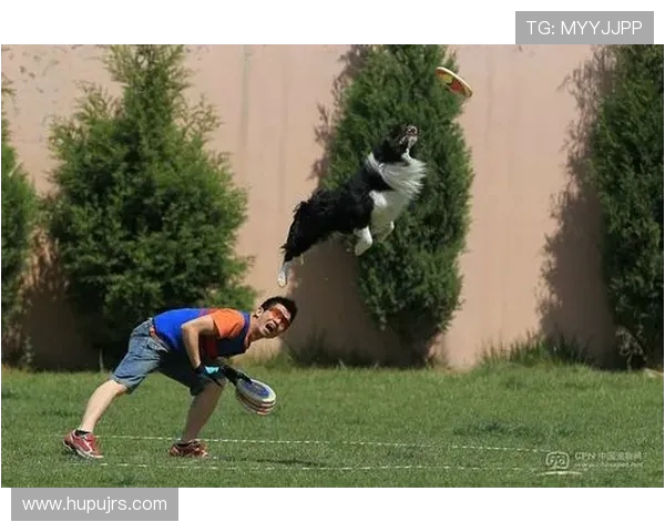 南京飞盘队在极限运动世界杯中的默契配合与精彩表现分析